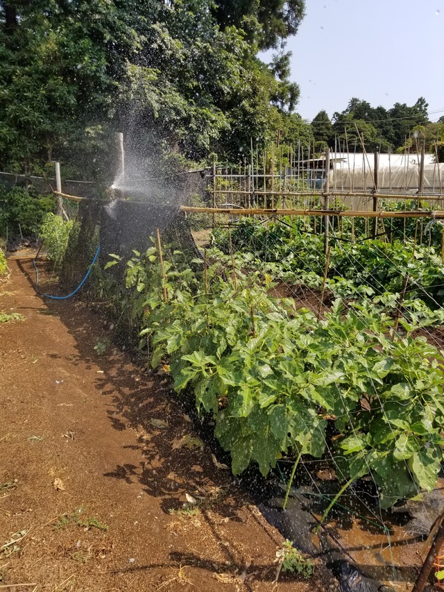 20230727_093800_copy_1512x2016