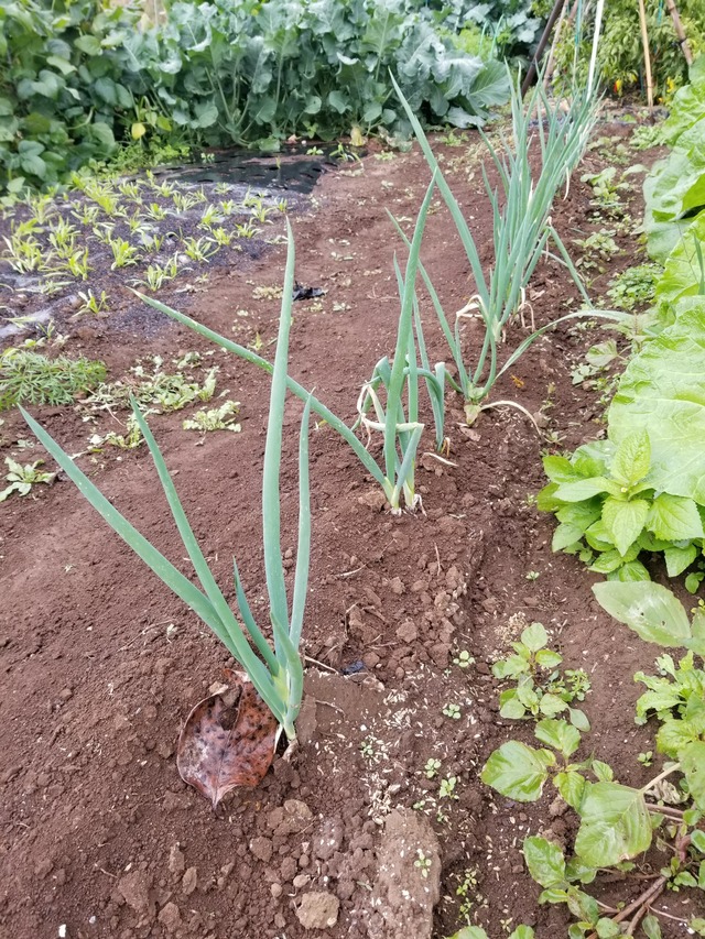 20221024_101827_copy_1512x2016