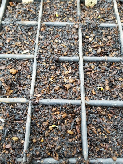 20200128_085342-3024x2268