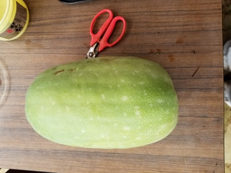 20190828_074626-2160x1620