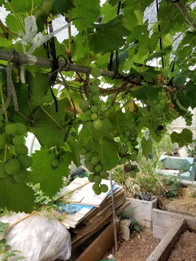 20220711_075909_copy_1512x2016