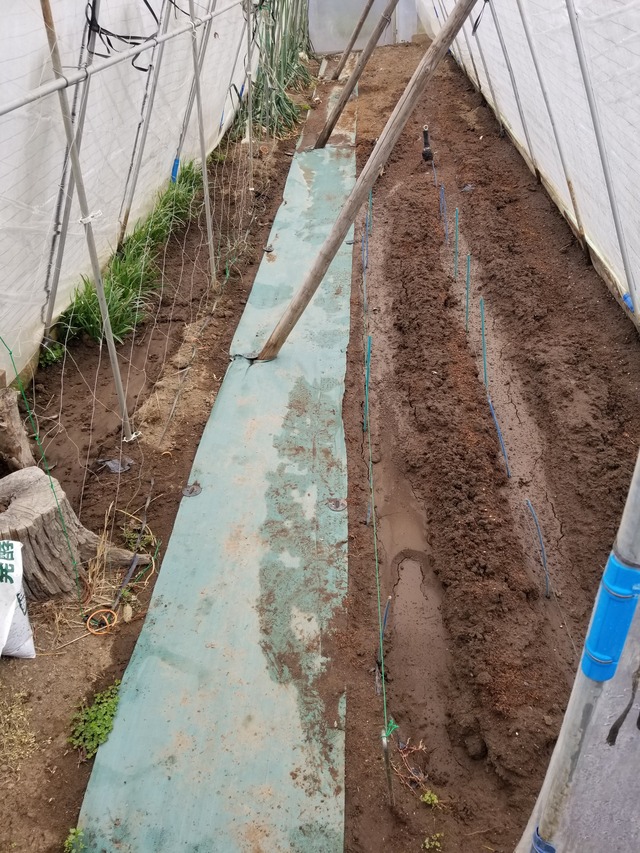 20240326_094502_copy_2268x3024