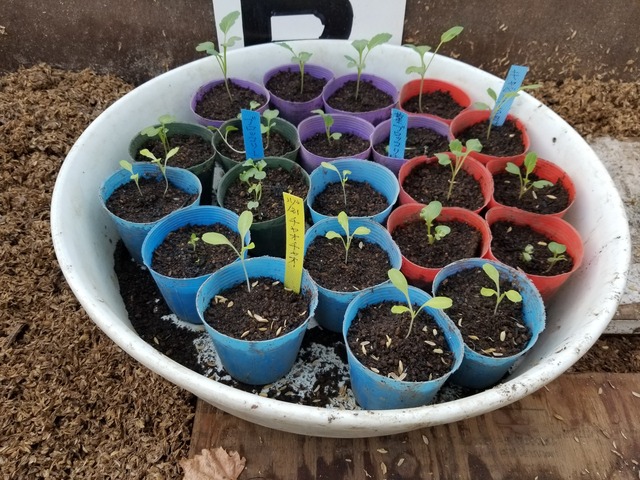 20231217_100457_copy_2016x1512