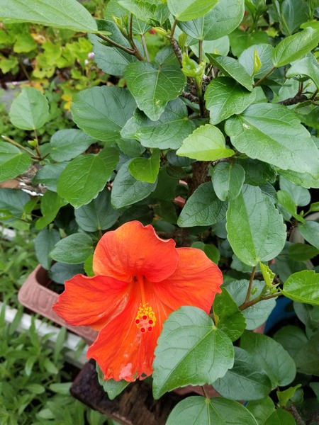 20190706_181545-1620x2160