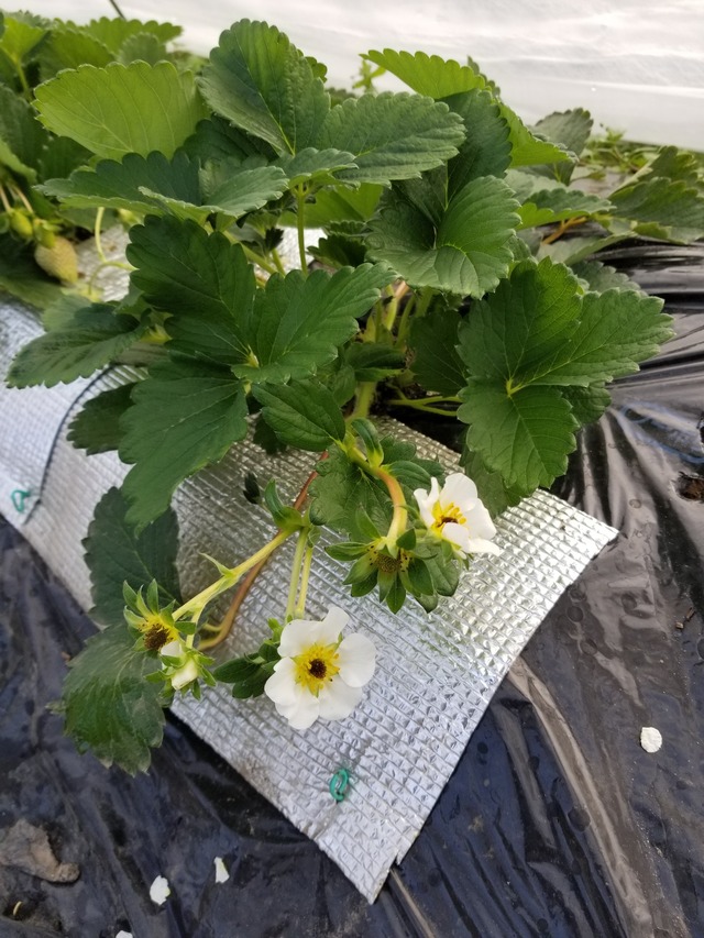 20231228_130904_copy_1512x2016_1