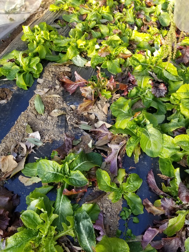 20220121_081210_copy_2268x3024