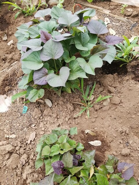 20230426_075848_copy_540x720