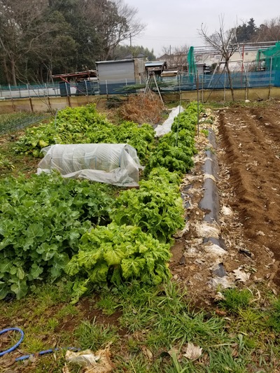 20200213_082155-2268x3024