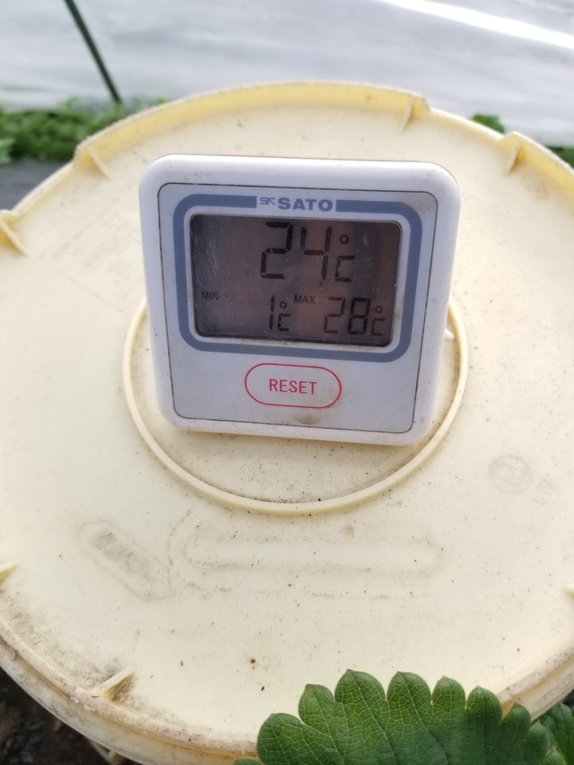 20231228_131351_copy_1512x2016_1