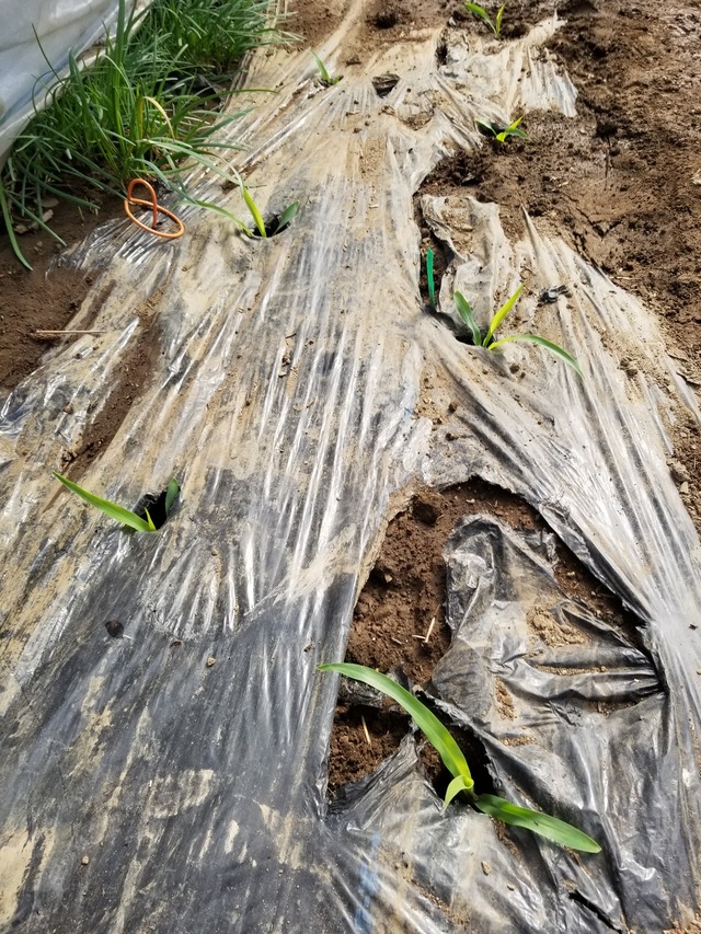 20230320_090622_copy_1209x1612