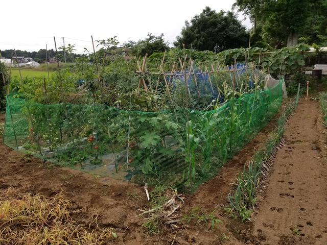 20200627_162702_copy_2268x1701