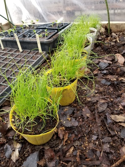 20200127_085715-2268x3024