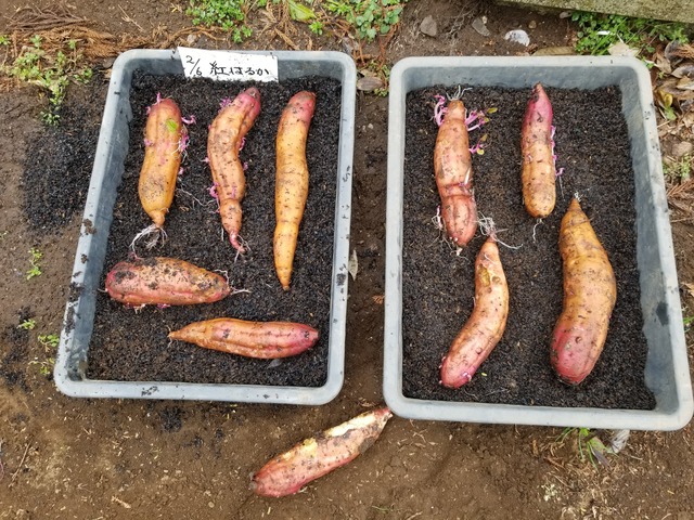 20240220_084753_copy_3024x2268