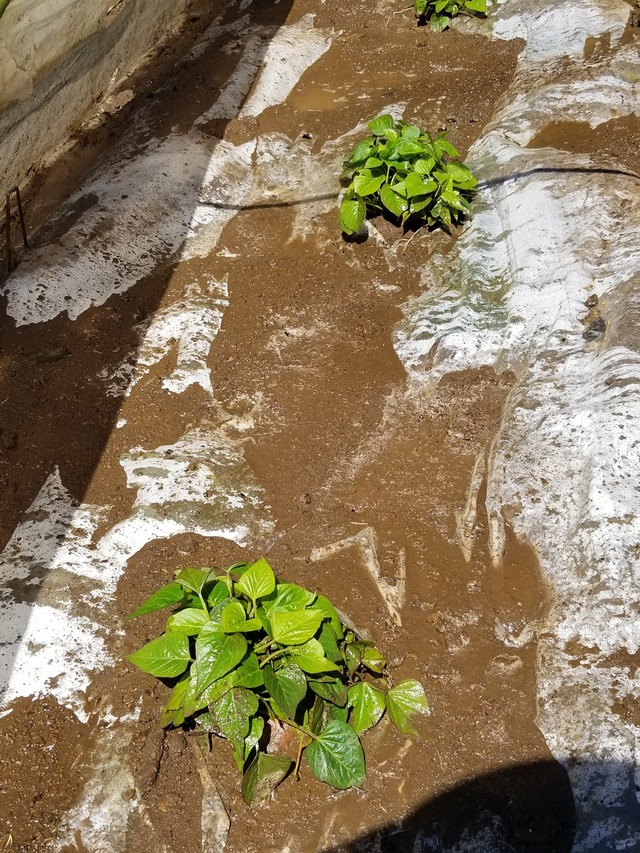 20240327_111506_copy_2268x3024