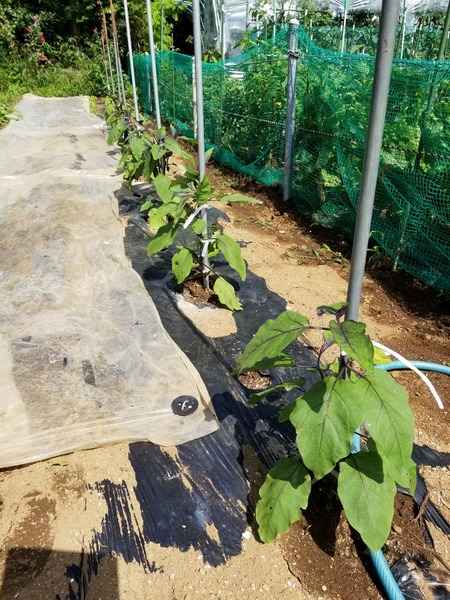 20190710_091113-1620x2160