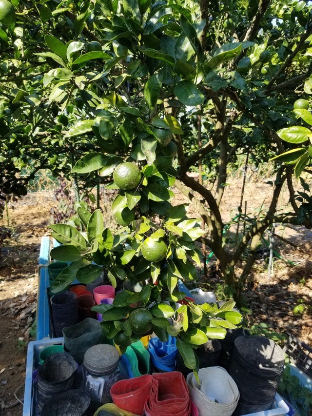 20230726_150128_copy_1512x2016