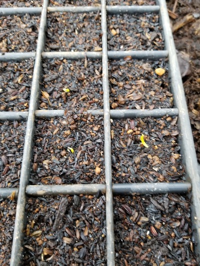 20200128_085351-3024x2268