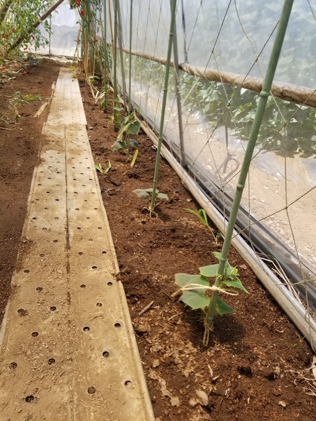 20230724_103915_copy_1512x2016