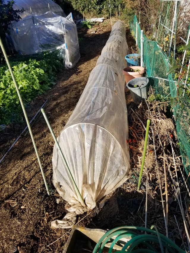 20221226_084923_copy_2268x3024
