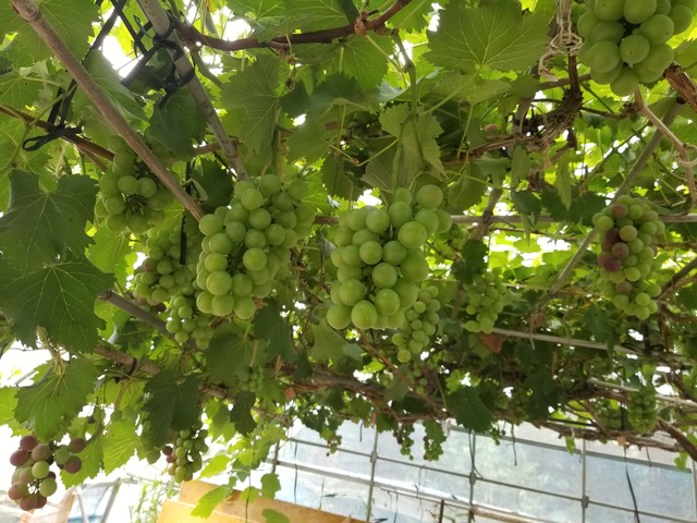 20230708_090018_copy_2016x1512