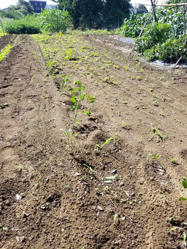 20220914_101259_copy_2268x3024