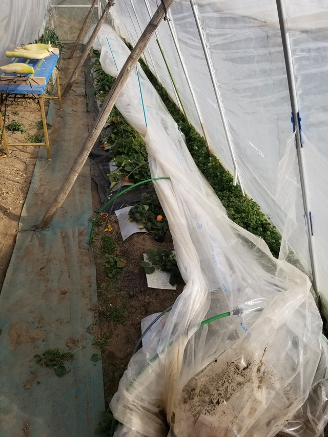 20240130_141506_copy_2268x3024