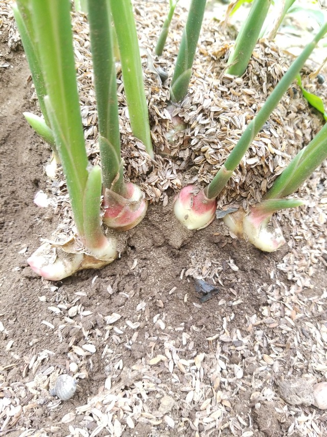 IMG_20231004_135121_copy_1512x2016