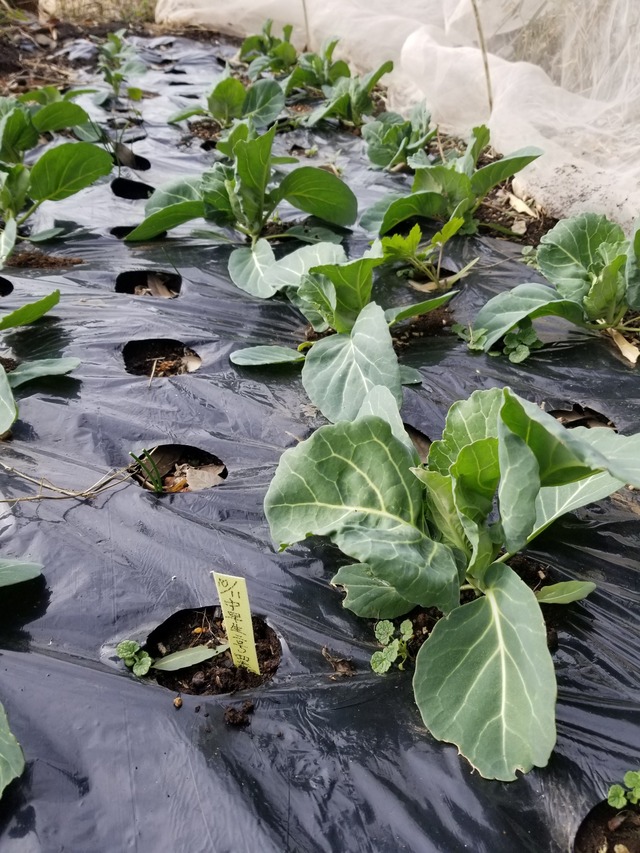 20240122_135751_copy_1512x2016