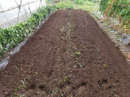 20190706_102132-2160x1620