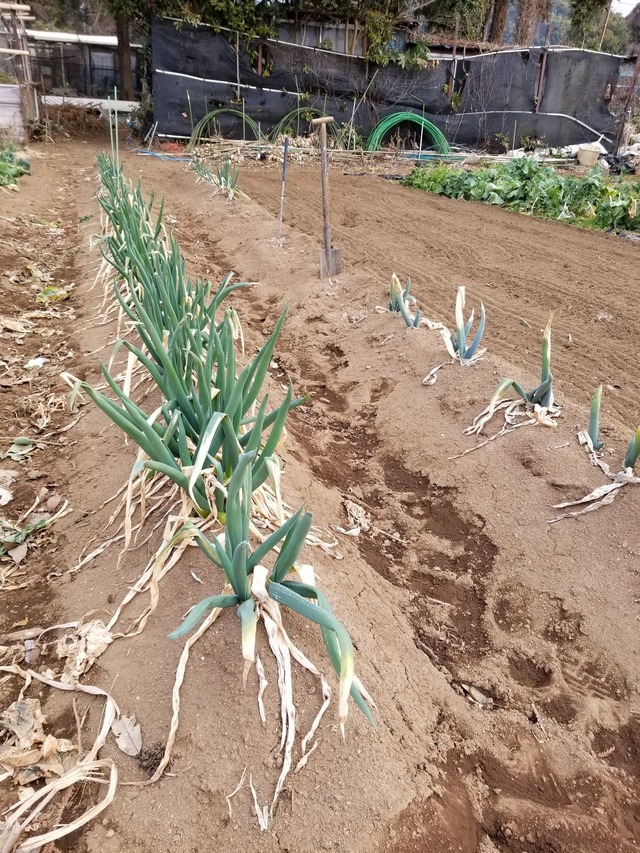 20210208_074133_copy_2268x3024