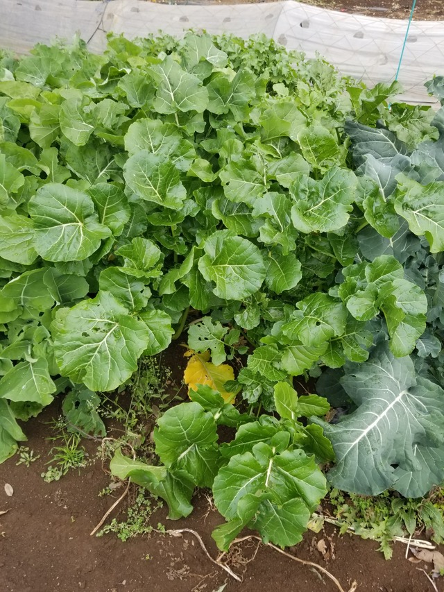 20231215_111055_copy_1512x2016