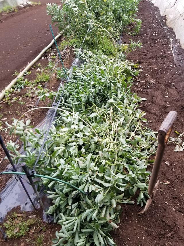 20230430_100620_copy_1512x2016