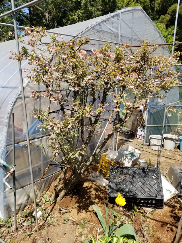 20230409_113410_copy_1512x2016