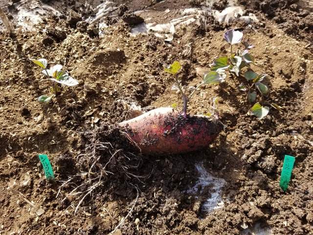 20230311_144719_copy_1612x1209