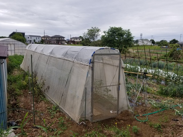 20190603_070853-2160x1620