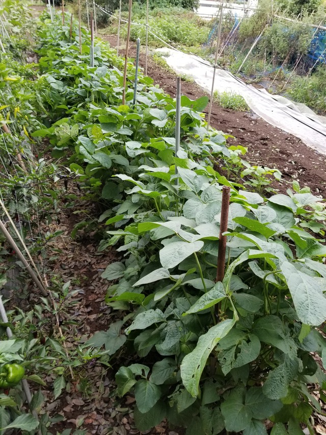 20210906_084152_copy_2268x3024