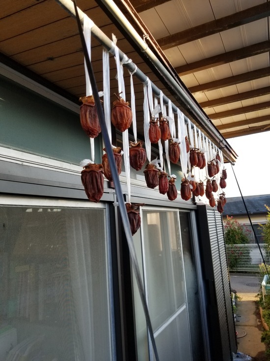 20191106_070357-1620x2160