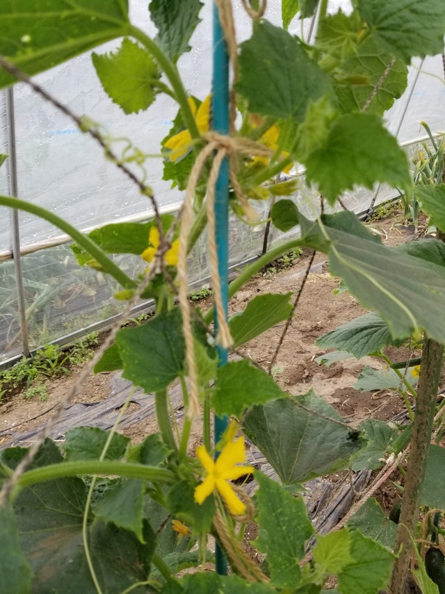 20230513_144154_copy_1512x2016