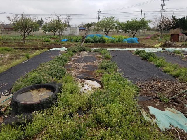 20240407_104344_copy_3024x2268_2