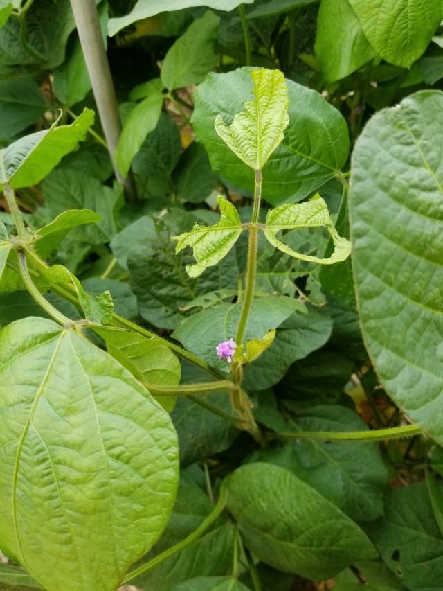 20200831_091527_copy_2268x3024