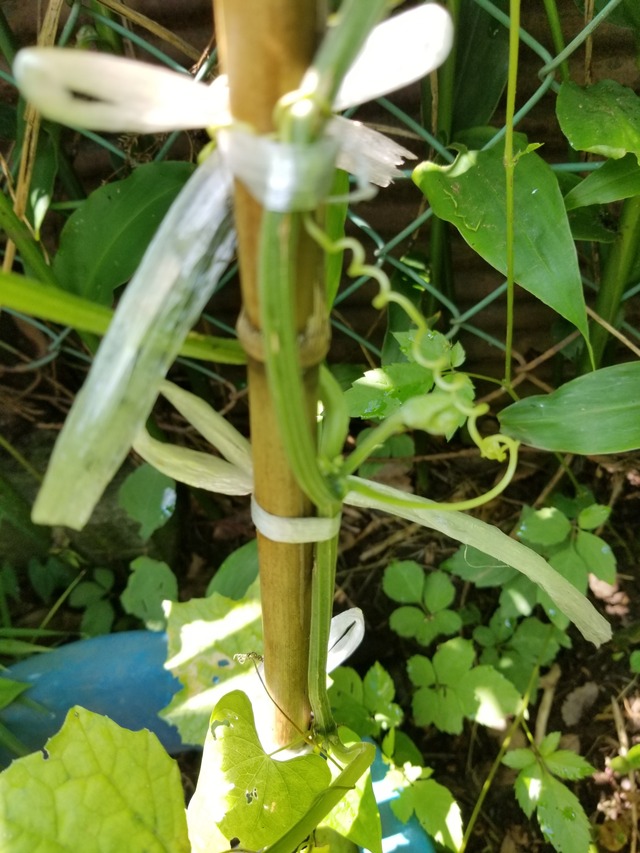 20200629_091535_copy_2268x3024