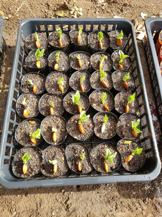 IMG_20231106_103121_DRO_copy_1512x2016