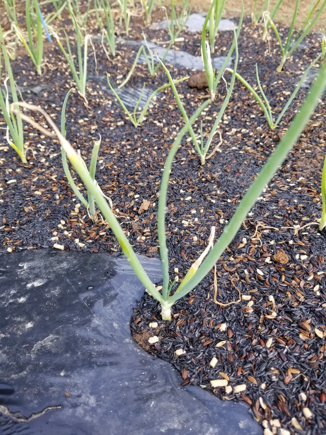 20221028_101908_copy_1512x2016