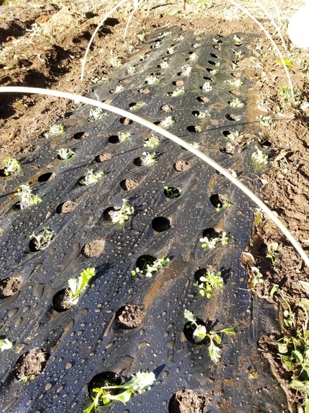 20191228_091510-2268x3024