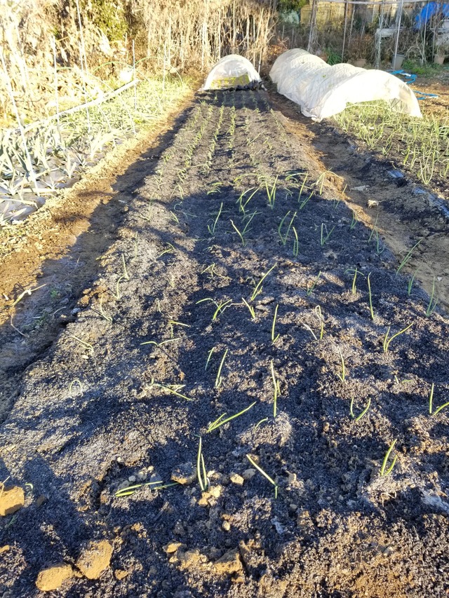 20211223_074848_copy_2268x3024