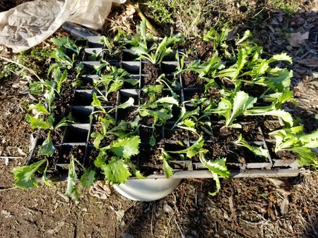 20191228_085827-3024x2268