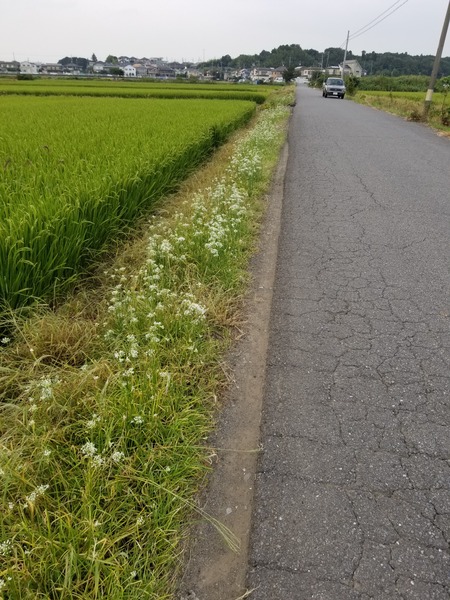 20190905_172201-1620x2160