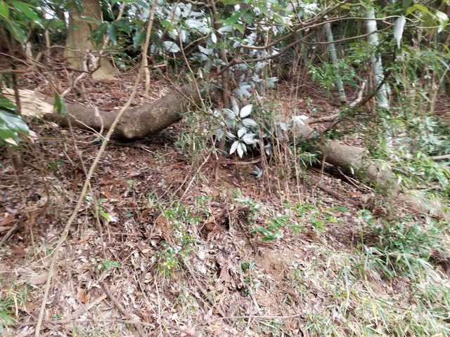 20211229_135037_copy_3024x2268