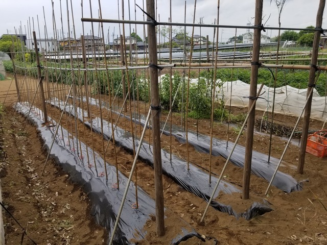 20230513_104619_copy_2016x1512