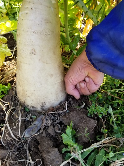 20200220_085523-2268x3024